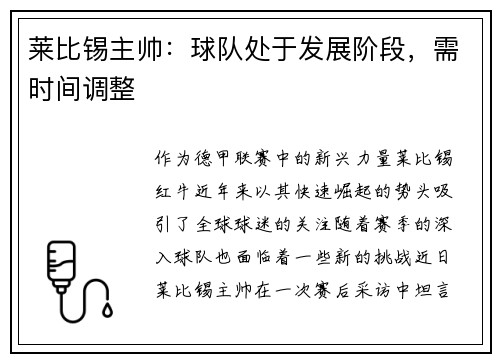 莱比锡主帅：球队处于发展阶段，需时间调整