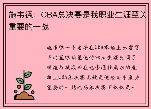 施韦德：CBA总决赛是我职业生涯至关重要的一战