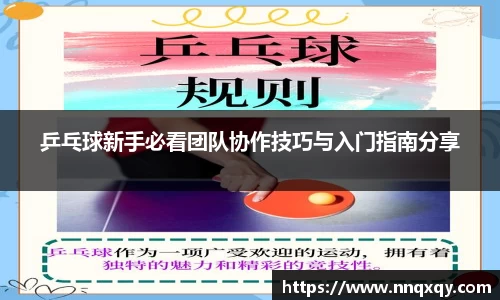 乒乓球新手必看团队协作技巧与入门指南分享